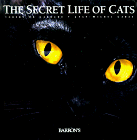 Beispielbild fr The Secret Life of Cats zum Verkauf von SecondSale