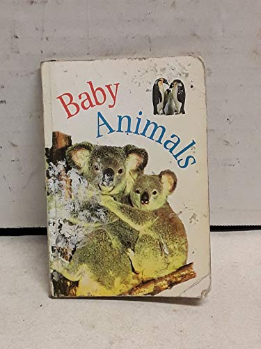 9780764150371: Baby Animals (Pocket Gems Series)