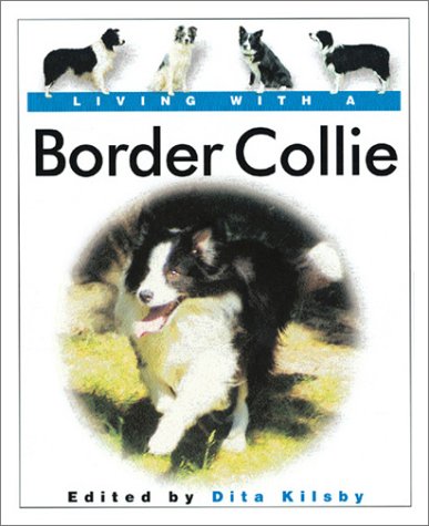 Living With a Border Collie