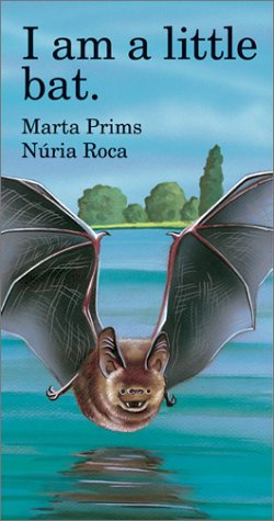 

I Am a Little Bat