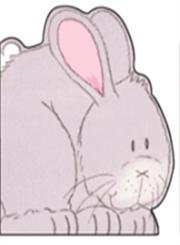 Beispielbild fr Rabbit (Animal Shapes) zum Verkauf von Ebooksweb
