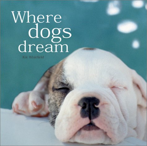Beispielbild fr Where Dogs Dream zum Verkauf von Wonder Book