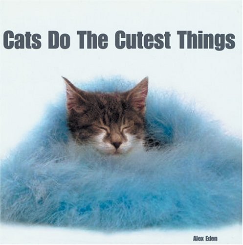 9780764158032: Cats Do The Cutest Things