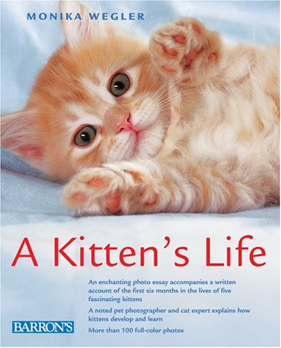 Beispielbild fr A Kitten's Life zum Verkauf von Wonder Book