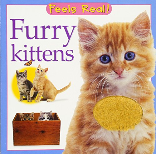 9780764158544: Furry Kittens
