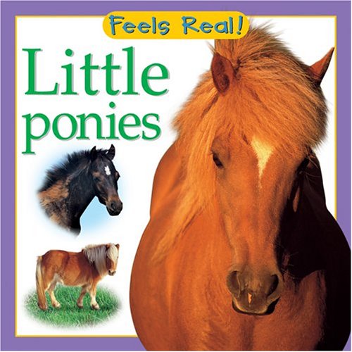9780764158551: Little Ponies (Feels Real Books)