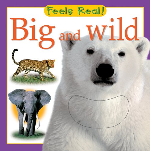 9780764159466: Big And Wild