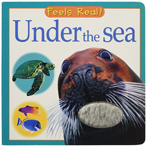 Under the Sea (Feels Real!) (9780764159510) by Picthall & Gunzi Ltd