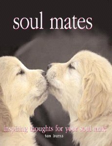 Stock image for Soul Mates : Love's Magic Moments for sale by Better World Books