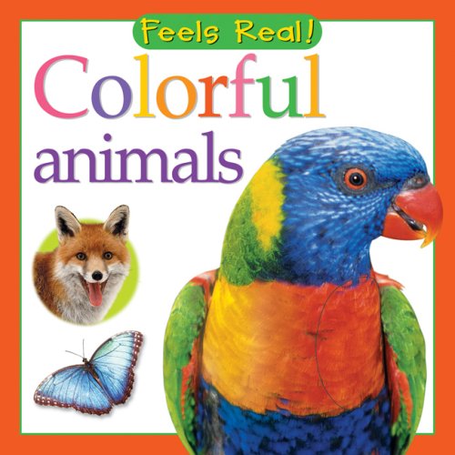 Colorful Animals (Feels Real Series) (9780764160257) by Christiane Gunzi