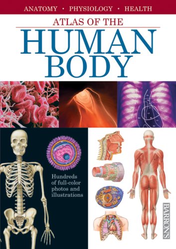 Beispielbild fr Atlas of the Human Body: Anatomy - Physiology - Health zum Verkauf von Once Upon A Time Books