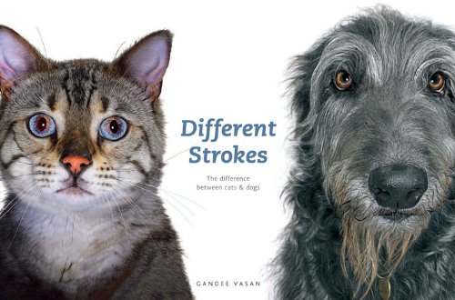 Imagen de archivo de Different Strokes: The Difference Between Cats & Dogs a la venta por Wonder Book