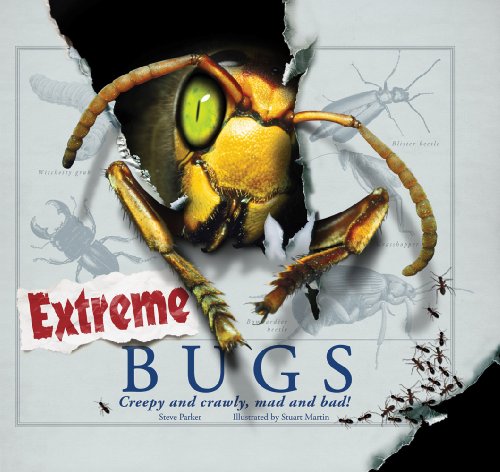 Imagen de archivo de Extreme Bugs: Creepy and Crawly, Mad and Bad! a la venta por Wonder Book