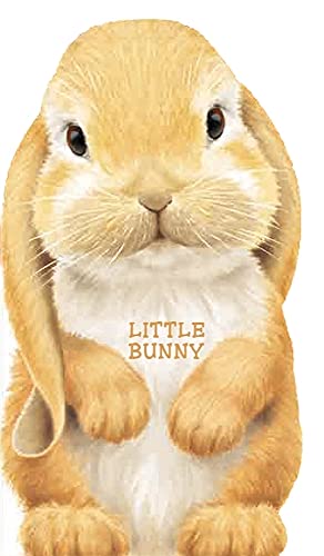 9780764163227: Little Bunny (Look at Me Books (Barron's))