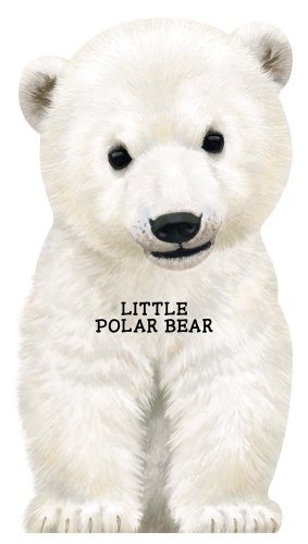 Stock image for Little Polar Bear (Look at Me Books) for sale by SecondSale