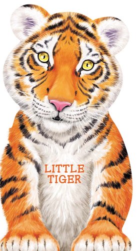 Stock image for Little Tiger (Look at Me Books) for sale by Gulf Coast Books