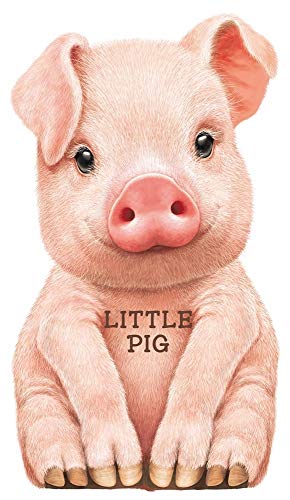 Stock image for Little Pig (Mini Look at Me Books) for sale by Hawking Books
