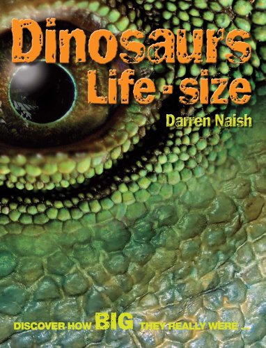 Beispielbild fr Dinosaurs Life Size: Discover How Big They Really Were zum Verkauf von Orion Tech