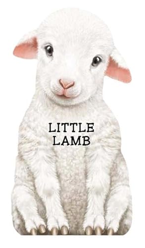 Imagen de archivo de Little Lamb (Look at Me Books) a la venta por Bookmonger.Ltd