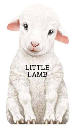 9780764164279: Little Lamb: Look at Me (Look at Me Books (Barron's))