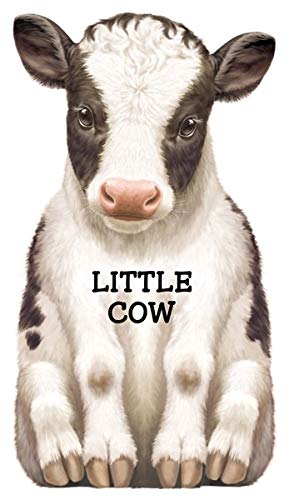 Imagen de archivo de Little Cow (Look At Me Books) a la venta por ZBK Books