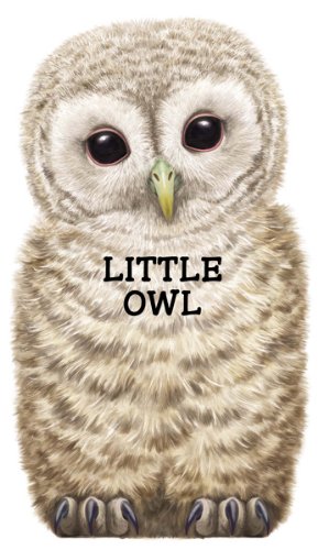 9780764164477: Little Owl (Look at Me Books)