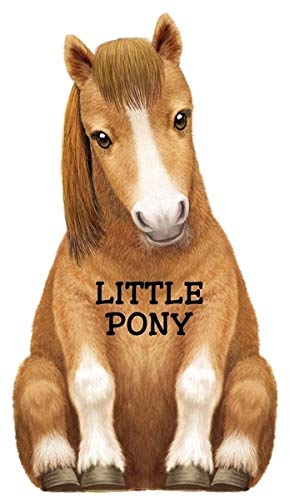 Imagen de archivo de Little Pony (Look at Me Books) a la venta por BooksRun