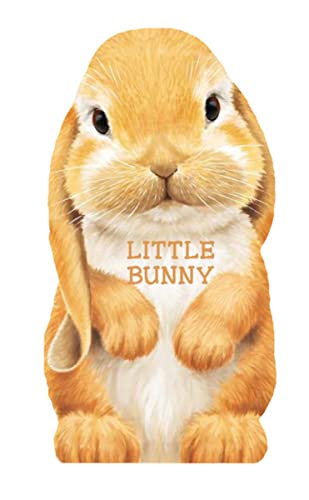 Stock image for Little Bunny (Mini Look at Me Books) for sale by SecondSale