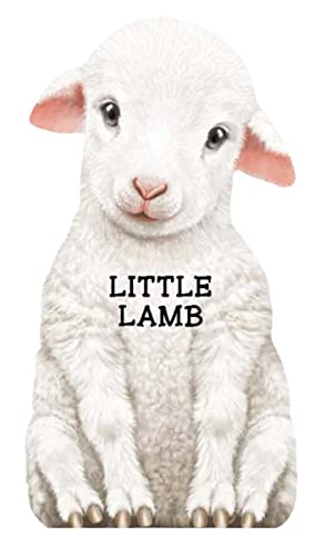 Stock image for Little Lamb (Mini Look at Me Books) for sale by Gulf Coast Books