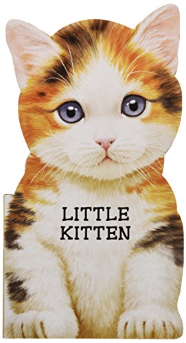 Beispielbild fr Little Kitten (Look at Me Books) zum Verkauf von Goodwill