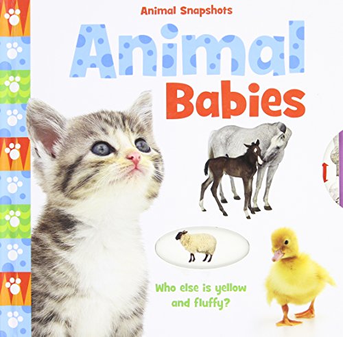 9780764165542: Animal Babies (Animal Snapshots)