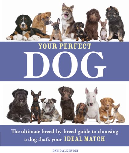 Stock image for Your Perfect Dog : The Ultimate Breed-By-Breed Guide to Choosing a Dog That's Your Ideal Match for sale by Better World Books