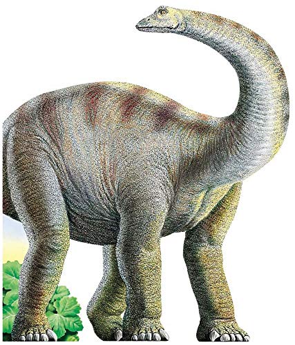 Stock image for Diplodocus Diplodocus for sale by TextbookRush