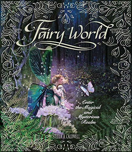 Stock image for Fairy World: Enter the Magical and Mysterious Realm for sale by PlumCircle