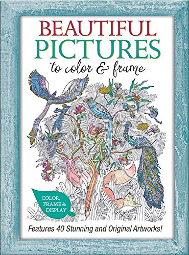 9780764168727: Beautiful Pictures to Color & Frame: Features 40 Stunning and Original Artworks!