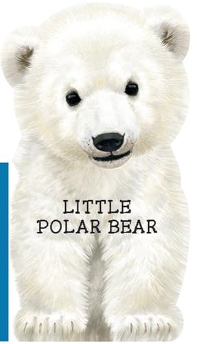 9780764168802: Little Polar Bear