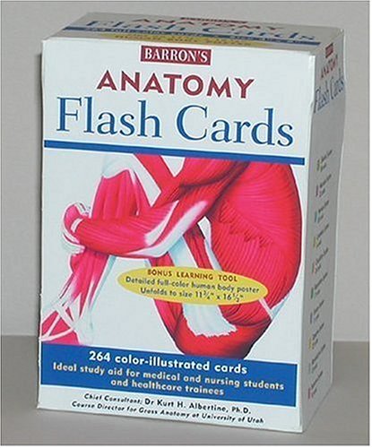 Imagen de archivo de Barrons Anatomy Flash Cards a la venta por Seattle Goodwill