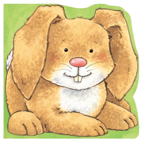 Beispielbild fr Bunny (Carry-Along Pets) zum Verkauf von Ebooksweb