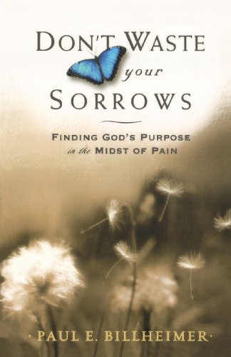 Imagen de archivo de Dont Waste Your Sorrows: Finding God's Purpose in the Midst of Pain a la venta por SecondSale