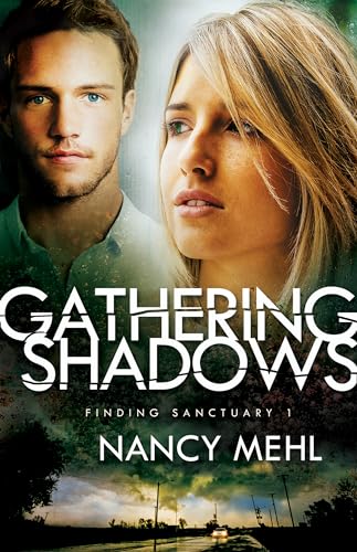 Stock image for Gathering Shadows (Finding Sanctuary): 1 (Finding Sanctuary) for sale by More Than Words