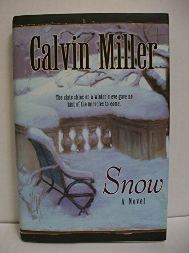 9780764221521: Snow: A Novel