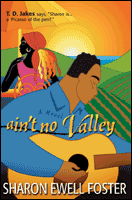 9780764228865: Ain’t No Valley: A Novel