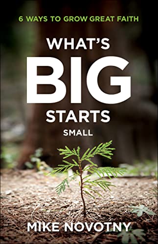 Stock image for What's Big Starts Small: 6 Ways to Grow Great Faith for sale by SecondSale