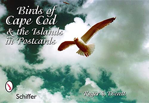 9780764324482: Birds of Cape Cod and the Islands in Postcards