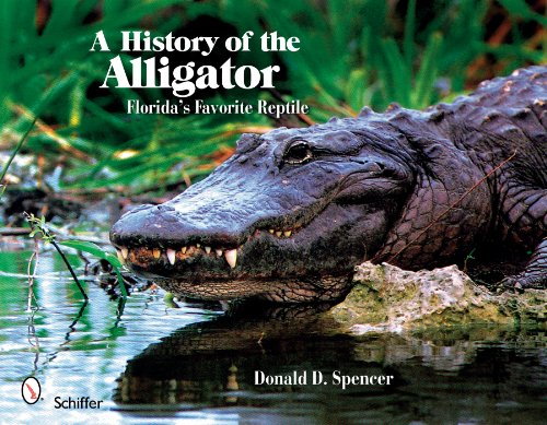 Imagen de archivo de History of the Alligator Florida's Favorite Reptile a la venta por TextbookRush
