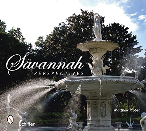 Imagen de archivo de Savannah Perspectives a la venta por Wonder Book