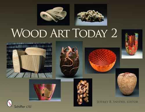 9780764334634: Wood Art Today 2