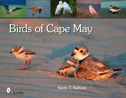 Beispielbild fr Birds of Cape May, New Jersey zum Verkauf von Books From California