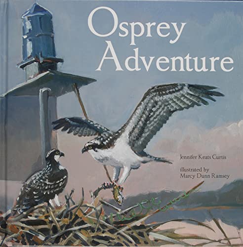 Imagen de archivo de Osprey Adventure a la venta por Wonder Book