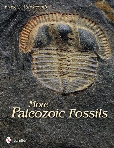 Stock image for More Paleozoic Fossils for sale by Bookmans